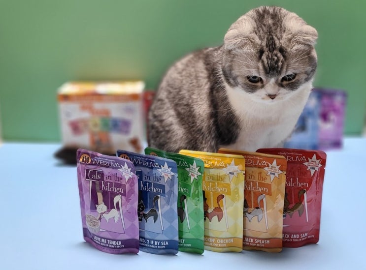 기호성 대박인 고양이 파티 파우치 웨루바 레인보우 버라이어티팩이 드디어 출시됐어요