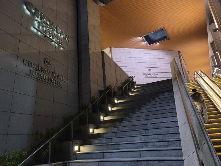 시부야호텔(세르리안타워 토큐호텔) 시부야호텔(세르리안타워 토큐호텔)