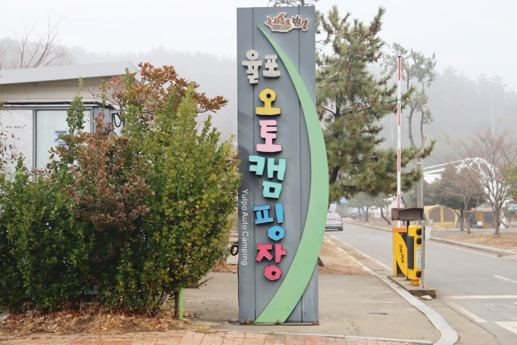  전남캠핑장 : 보성 율포오토캠핑장 동계캠핑 도오전!