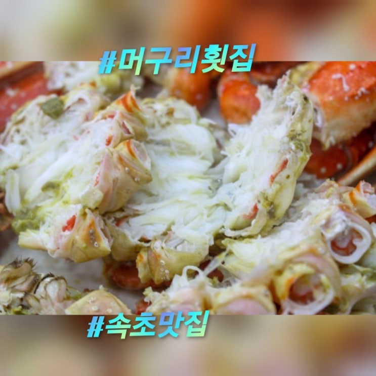  속초맛집