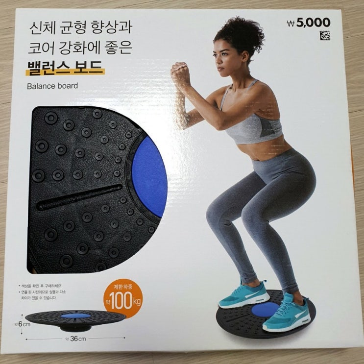  [다이소] 밸런스 보드, 균형감각과 근력을 키워주는  가성비 운동기구