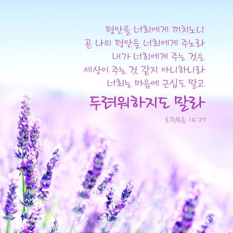 마음의 평안을 가져다 주는 좋은 말씀 성경 구절(요한복음 14:27)