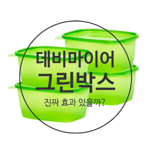  데비마이어 그린박스 주방 꿀템 인정이야
