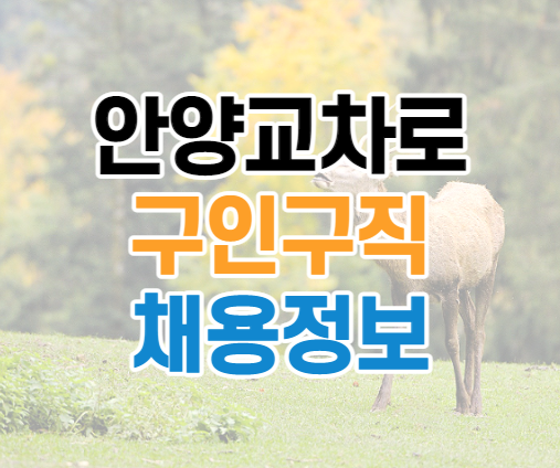 안양교차로 구인구직 바로가기 안양교차로 구인구직 바로가기