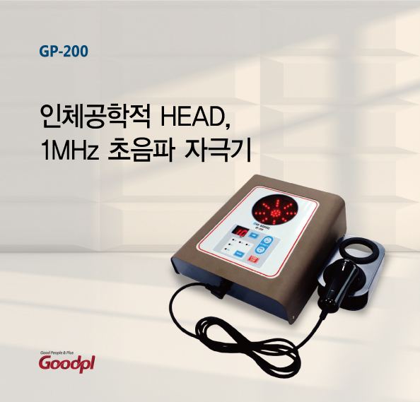 굿플 GP-200 초음파 자극기
