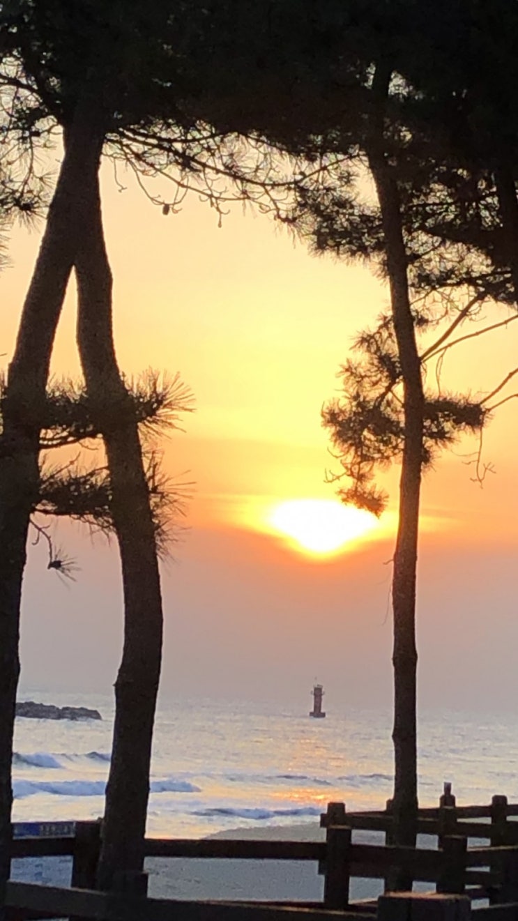  압류를 할 수 없는 돈과 물건