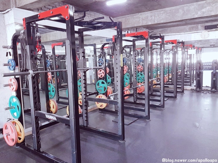 홍대입구역에서 가까운 헬스장 휘트니스에이든 홍대점 PT 행사해요 홍대입구역에서 가까운 헬스장 휘트니스에이든 홍대점 PT 행사해요