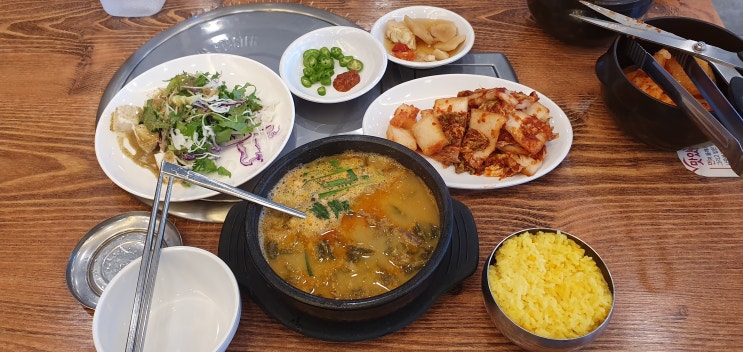  고색동 맛집 최고 겨울보양식 강황밥 소고기국밥 보양탕 추천
