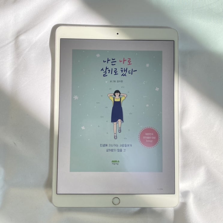  [독서리뷰] 나는 나로 살기로 했다 - 김수현