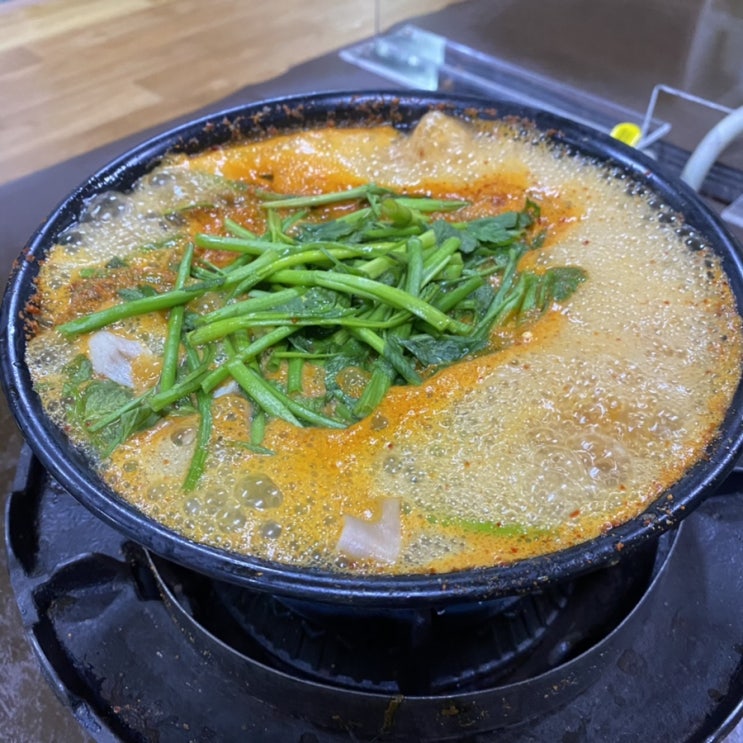  최근 술먹방! 가양 등촌최월선칼국수 / 신도림 내고향소머리국밥