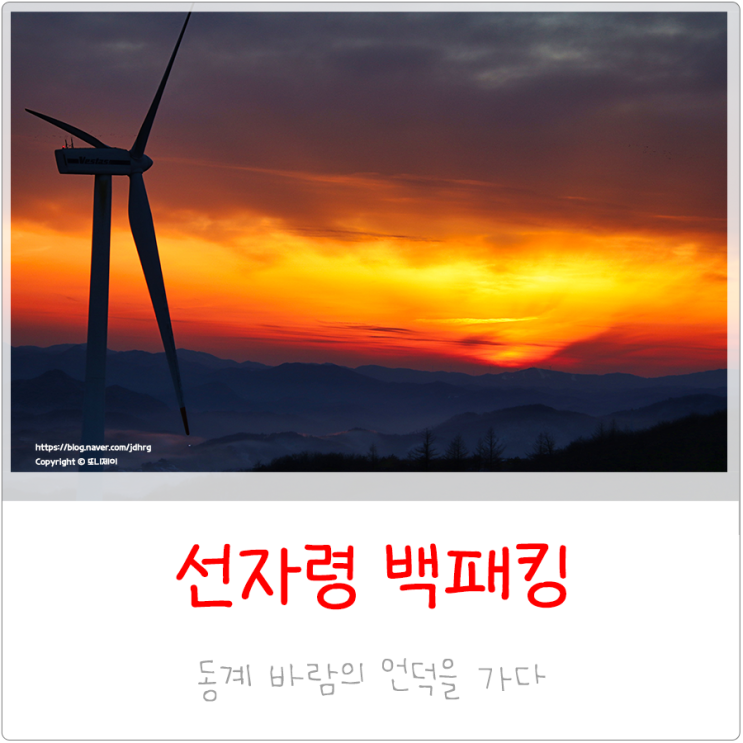  뚜벅이 선자령 백패킹 바람의 언덕인가 안개의 언덕인가..