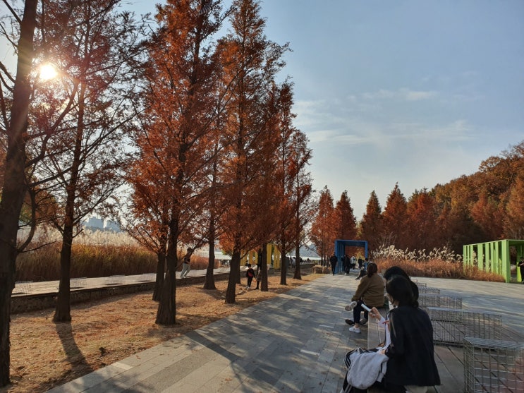  건강기능식품회사 대리-> 신입 전업주부