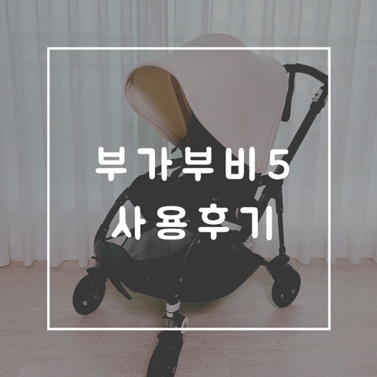 부가부 비5 5개월 사용후기!(부가부 비6 차이점)