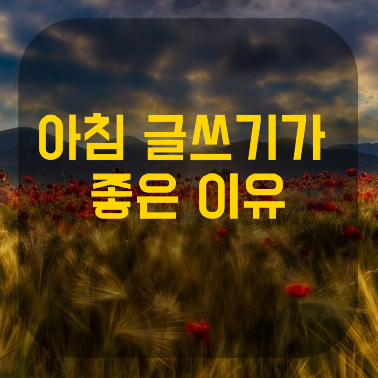  아침 글쓰기가 좋은 이유