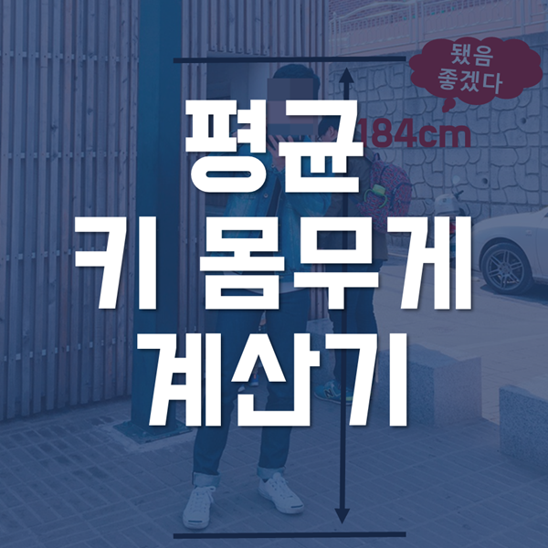  평균 키 몸무게 계산기 - 내 키 몸무게 위치는?
