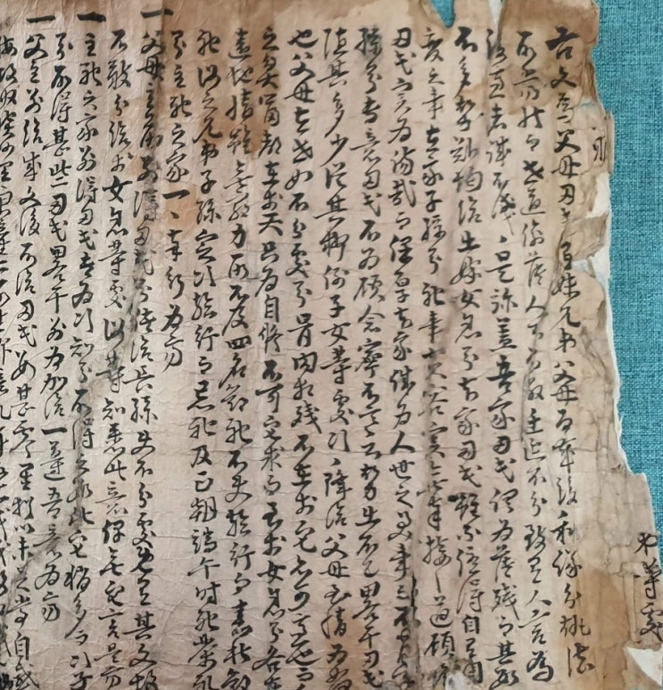담양 고세태 분재기, 유형문화재 지정