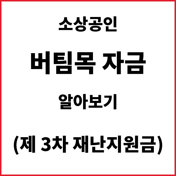  사장님! 소상공인 버팀목자금 꼭 받아가세요. (feat. 3차 재난지원금)