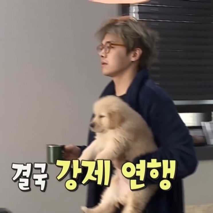 박은석 강아지 애니멀 호더 논란 박은석 강아지 애니멀 호더 논란