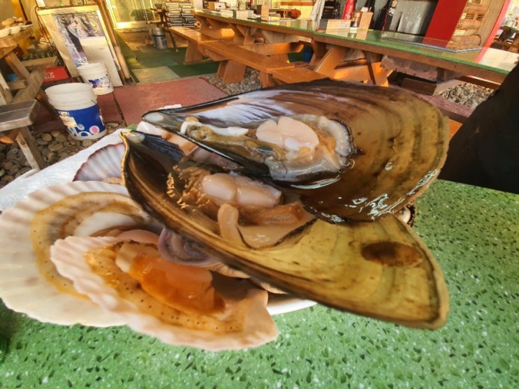  [충남태안여행]방포해수욕장의 일몰과 조개구이. 태안 안면도 바다전망 회 맛집 물새집.