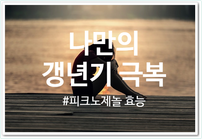  피크노제놀 효능 - 갱년기엔 메노팜