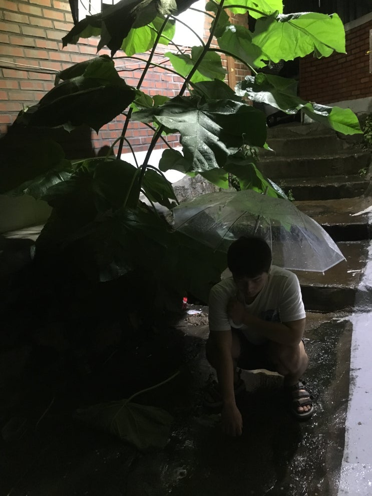  하루의 끝 - 익숙함과 익숙하지 않은 것