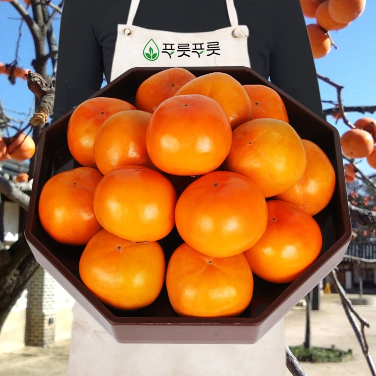 인기 많은 푸릇푸릇 2020년 햇 부유 단감 땡감 배단감 5kg 10kg, 5kg 중과 (25개내외) 좋아요 인기 많은 푸릇푸릇 2020년 햇 부유 단감 땡감 배단감 5kg 10kg, 5kg 중과 (25개내외) 좋아요