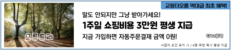  버팀목 자금도 필요없는 자영업자의 대체불가 부업은?