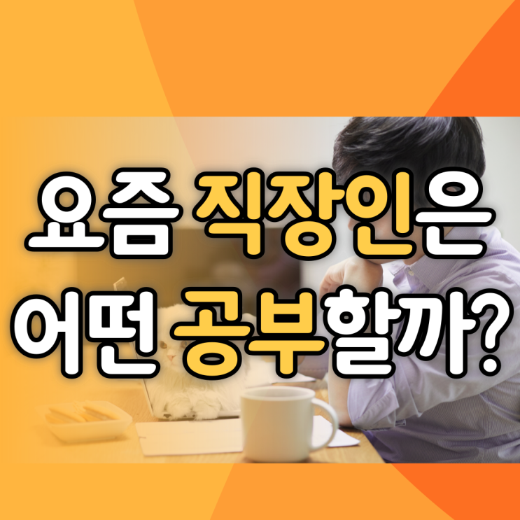  [직장인자격증/직장인공부] 자기계발을 위해서는 어떤 공부가 좋을까? 샐러던트를 위한 공부 추천!