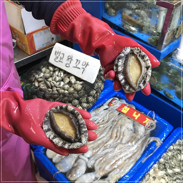  노량진수산시장맛집 서울 킹크랩 맛집 물결수산