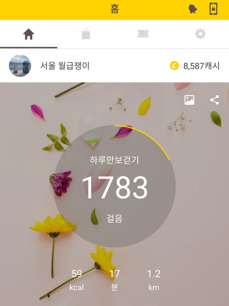  만보도전, 내 건강 내가 챙기기