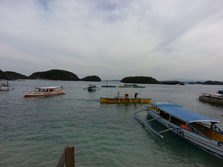  필리핀 수빅 오션 어드벤처 돌고래쇼와 북부루존 헌드레드 아일랜드 hundred islands 스노클링