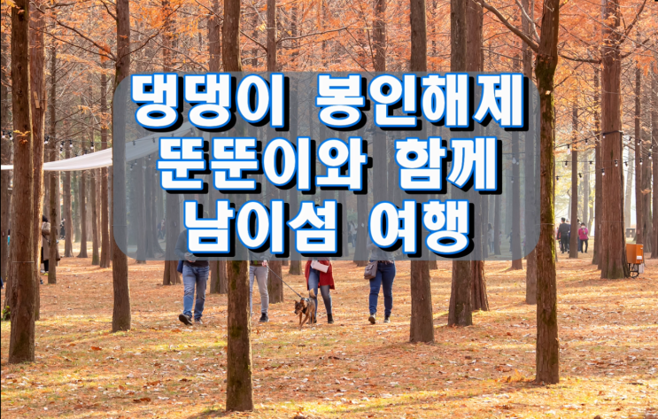 포스트 코로나시대 우리집 댕댕이 봉인해제, 뚠뚠이와 함께 남이섬 여행