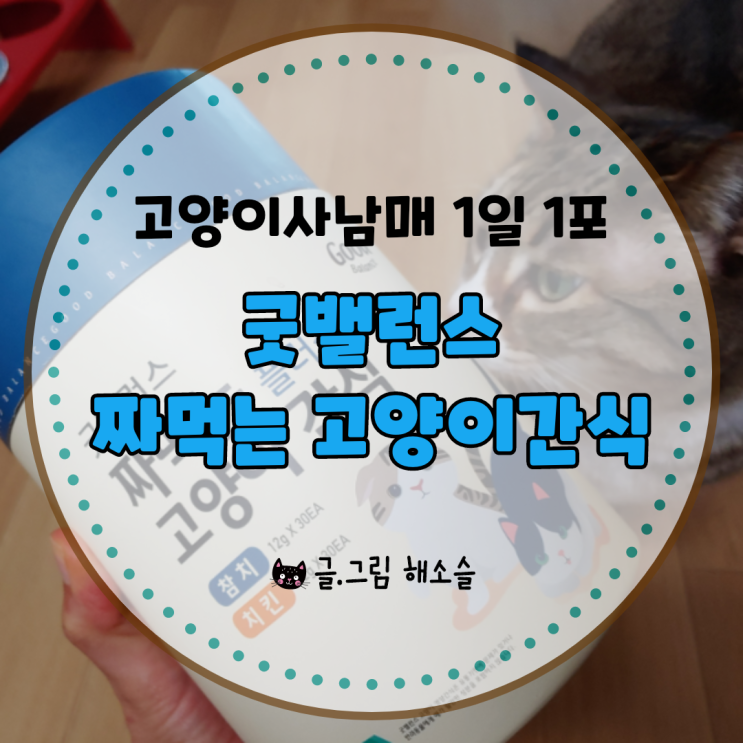 굿밸런스 짜먹는 고양이간식 츄르 1일 1포 완료~