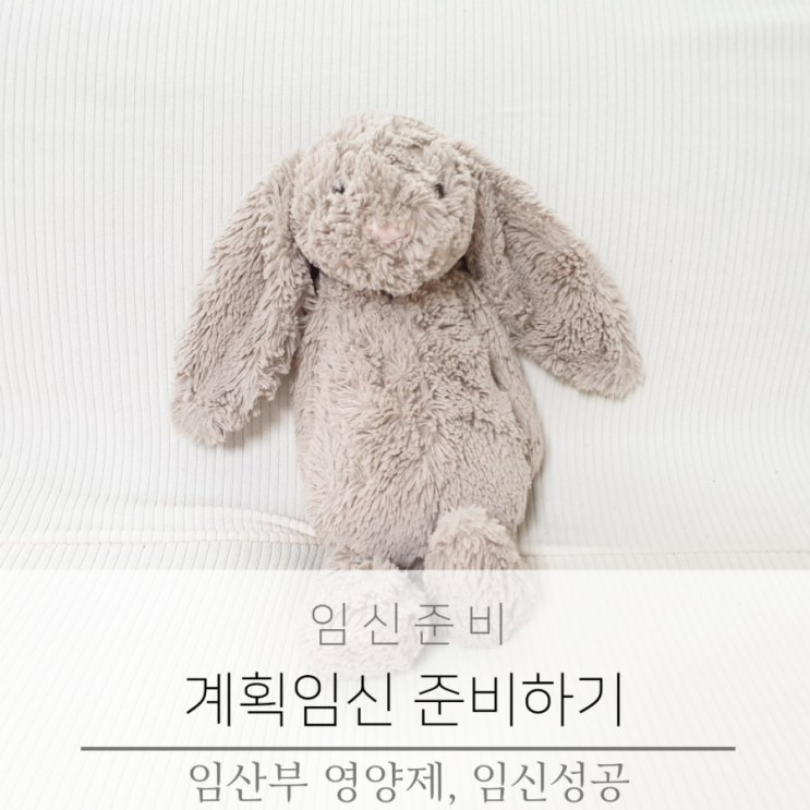  임신준비 영양제와 계획임신 성공하기