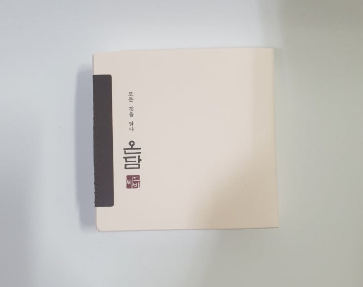  헤어커버+헤어라인쉐도우를 하나로! 씨드비 온담 채우담 헤어쿠션