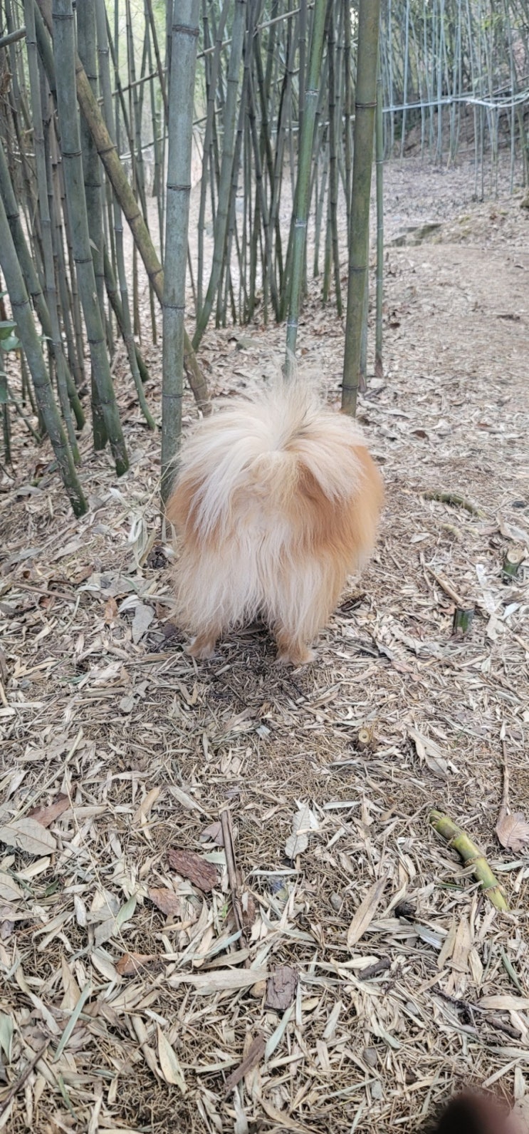  30분산책 진양호산책 똘이궁댕이