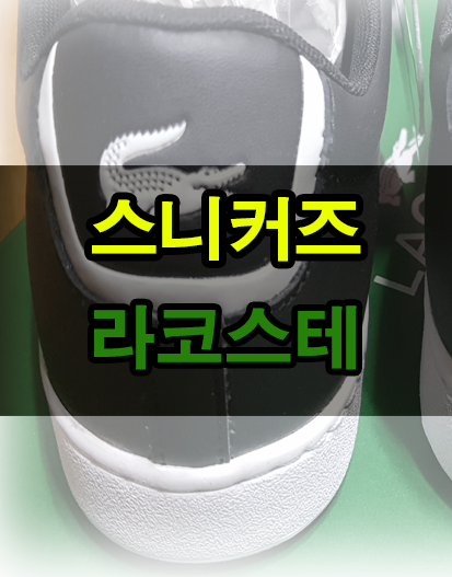 라코스테운동화 사이즈 미스없이 사기! (7-33SPM1002024)