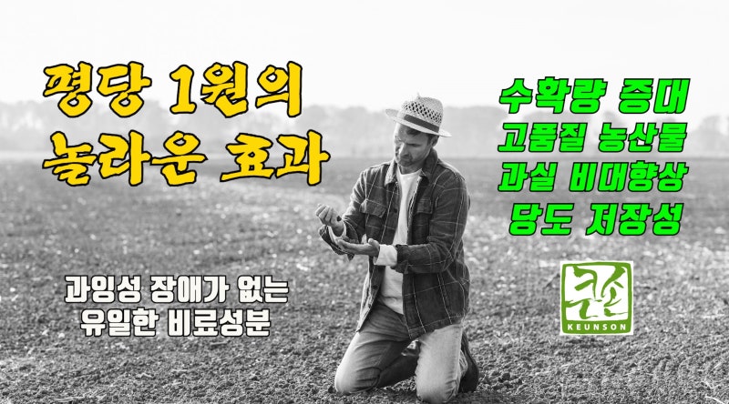 수용성 규산 규소효능 도복방지제 규산질비료