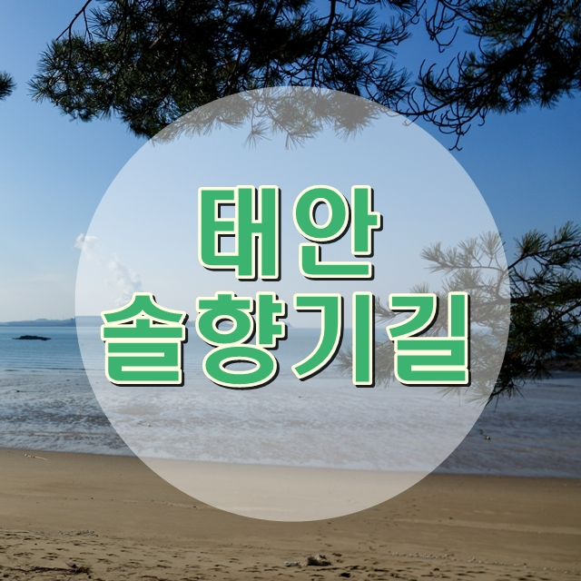  태안 가볼 만한 곳 태안 솔향기길 1코스 겨울여행지로 추천합니다.