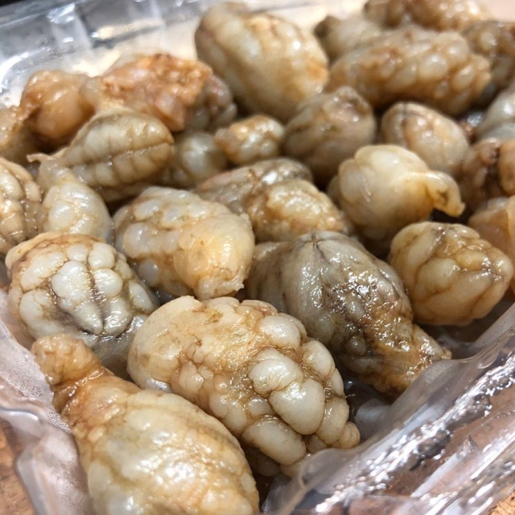 가성비갑 남해안 오만둥이 1kg 생물 오만디 주름미더덕 해물요리 추천해요 가성비갑 남해안 오만둥이 1kg 생물 오만디 주름미더덕 해물요리 추천해요