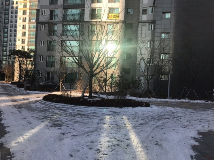 기획부동산이란? 사기, 하는일, 뜻