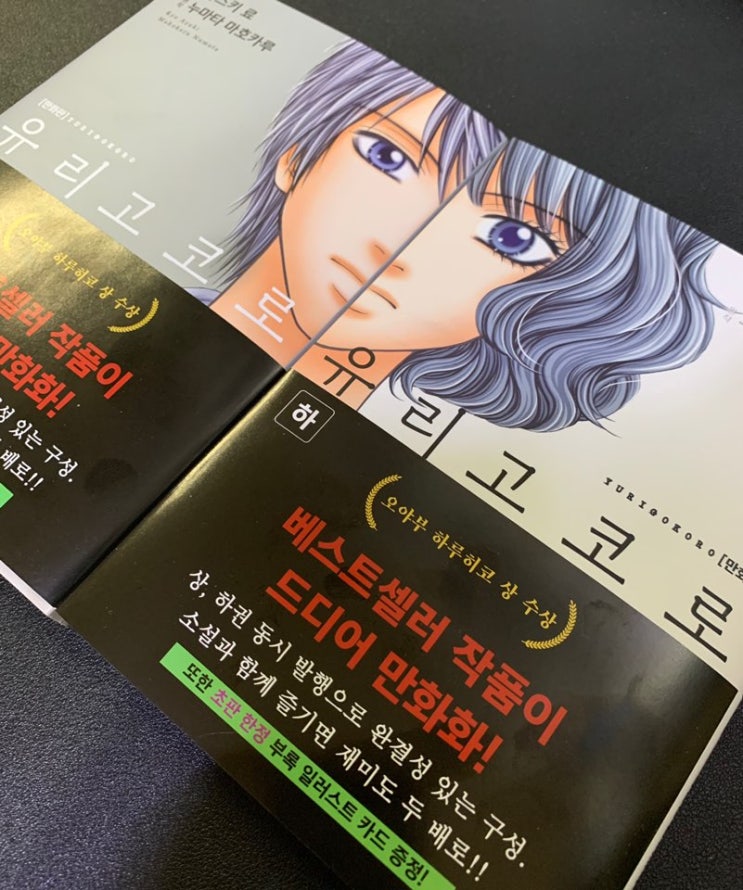  만화책추천 유리고코로 상,하권 '누마타 마호카루' 미스터리 호러 스릴러. 신간도서