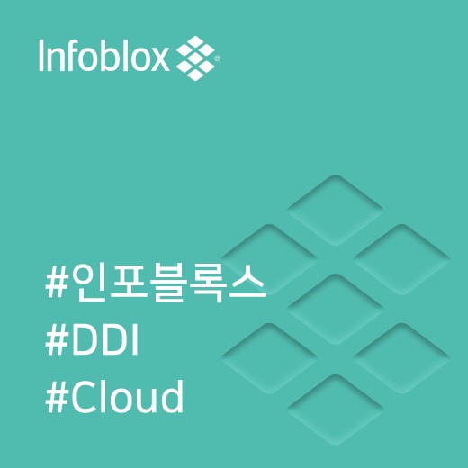  [인포블록스] 퍼블릭 클라우드에서 DNS 일관성 및 IP 주소의 가시성 보장