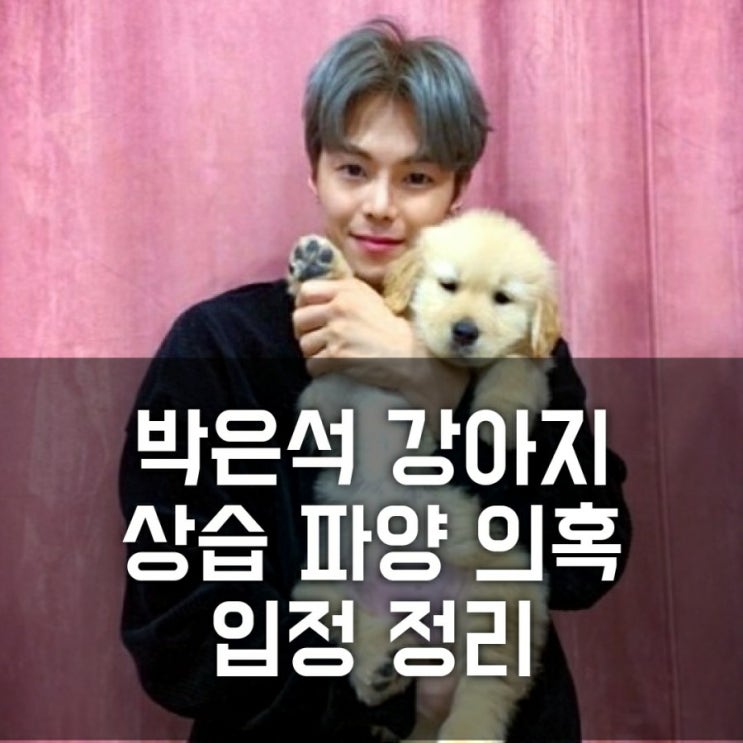 박은석 강아지 상습 파양 의혹, 입장정리 (푸들 로지, 대형견 데이지는 어디에?) 박은석 강아지 상습 파양 의혹, 입장정리 (푸들 로지, 대형견 데이지는 어디에?)