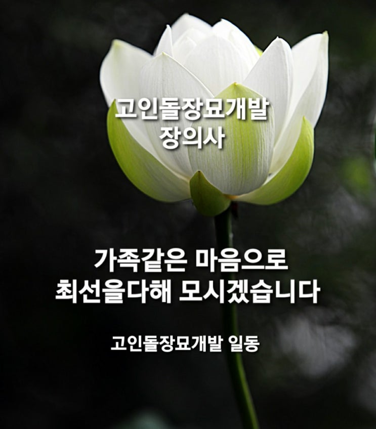  고인돌장묘개발장의사