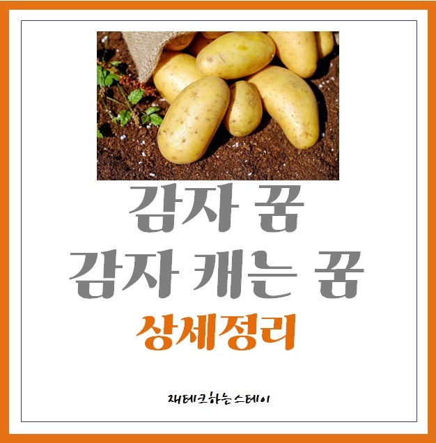 감자꿈, 감자캐는꿈 상세정리