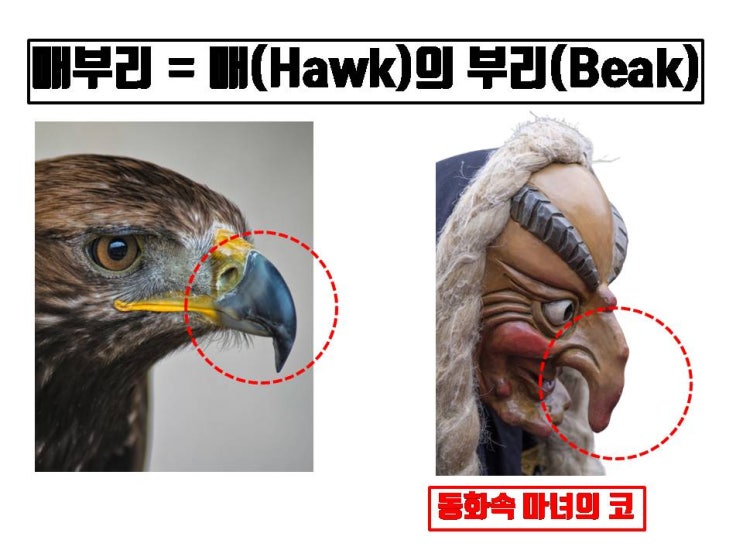  매부리코는 매부리 제거만 해서는 절대로 예뻐지지 않아요!!!