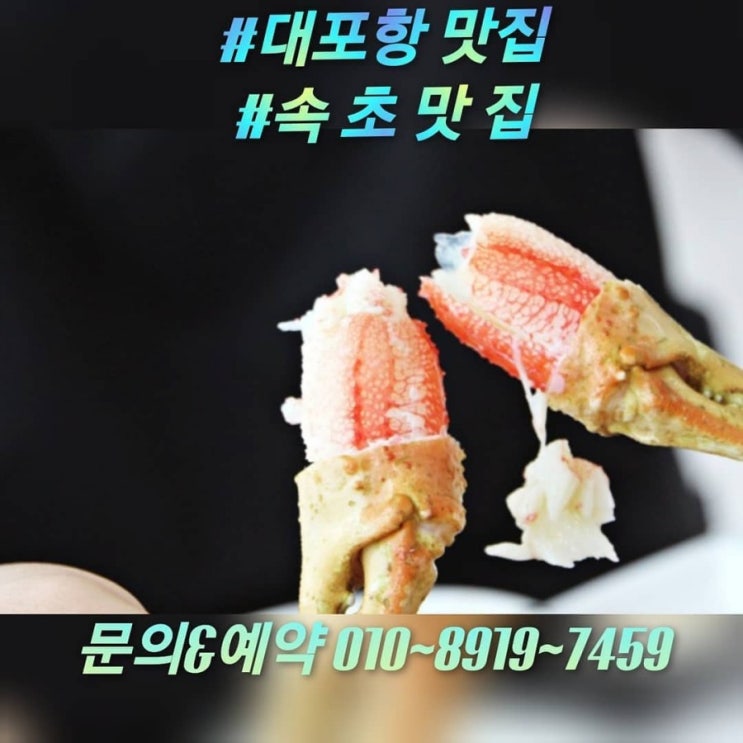  대포항맛집 속초가볼만한곳 추천지
