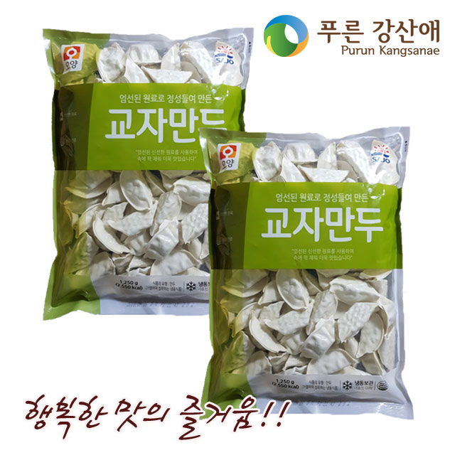 많이 팔린 [푸른강산애] 영양가득한 교자만두 1250g_2팩 기획, 2500g, 1세트 추천해요