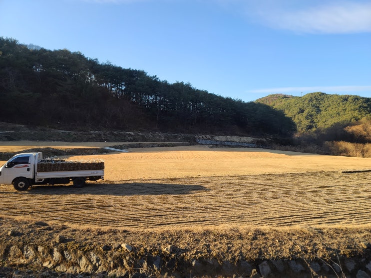  항공 마대에 산소 잔디 보냈어요